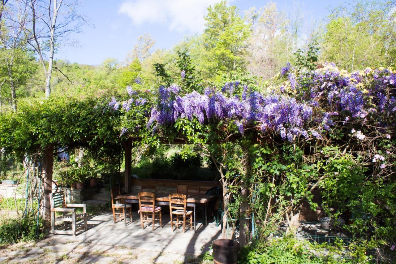 La Cavanella B&B Camugnano Exteriér fotografie